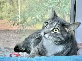 Vicky
