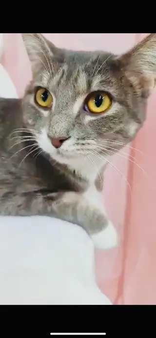 Vicky