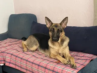 Luna