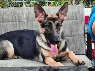 Luna