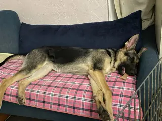 Luna