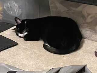 Zipper