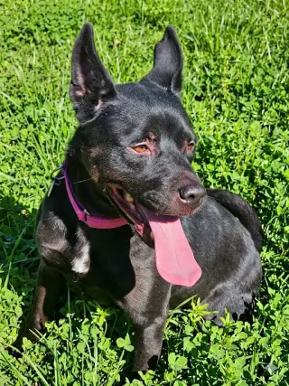 Luna