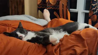 Finnegan