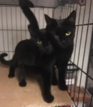 Julio bonded with Bronnie