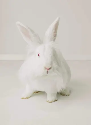 Jenny