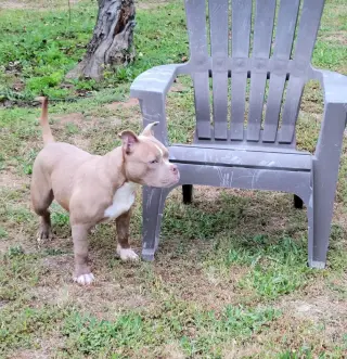 Karma