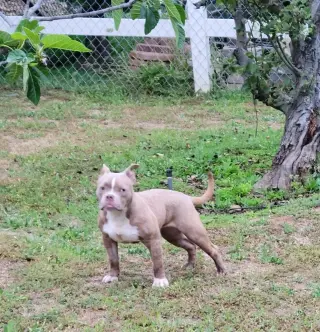 Karma