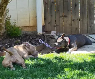 Karma