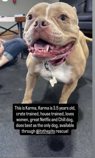 Karma