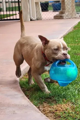 Karma