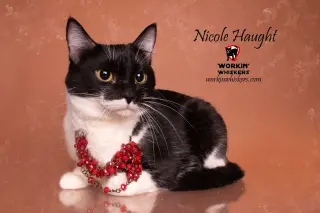 NICOLE HAUGHT
