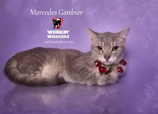 MERCEDES GARDNER