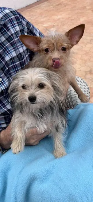 Nancy & Francis
