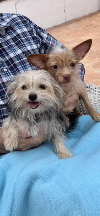 Nancy & Francis