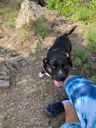 Daisy Girl