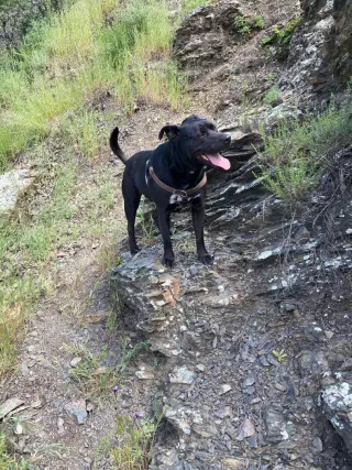 Max Boy