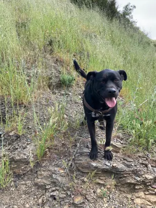 Max Boy