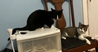 Charlie and Farrah