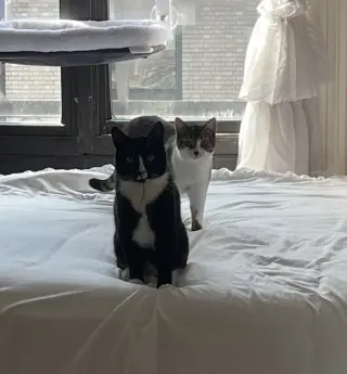 Charlie and Farrah
