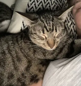 Pebbles