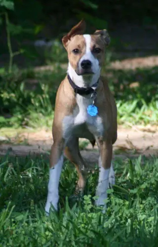 Sam
