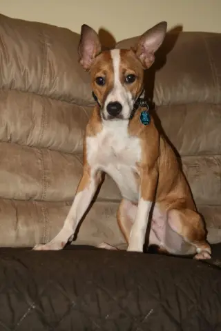 Sam