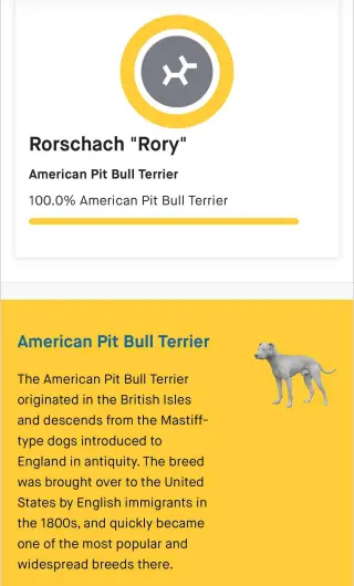 Rory
