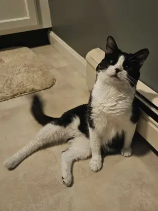 Rosita