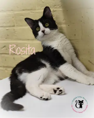 Rosita