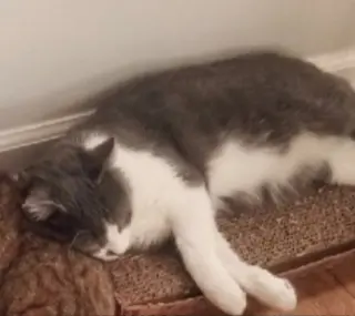 George