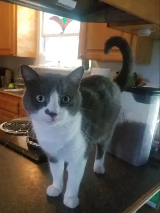 George