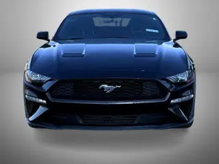 Ford Mustang 2020 EcoBoost 2dr Fastback