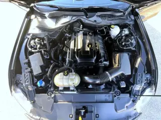 Ford Mustang 2020 EcoBoost 2dr Fastback