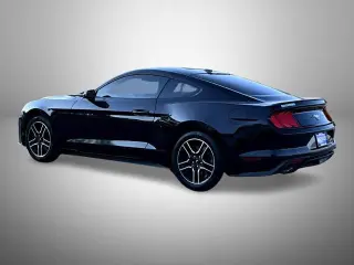 Ford Mustang 2020 EcoBoost 2dr Fastback