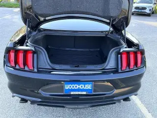 Ford Mustang 2020 EcoBoost 2dr Fastback