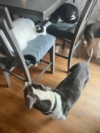 Gravity