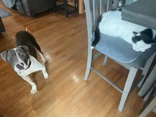 Gravity