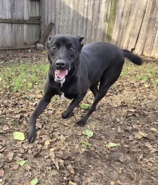 Ella