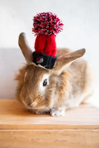 Tater Swift