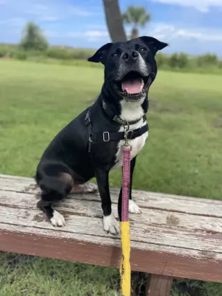 Aspen