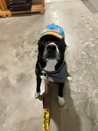 Aspen