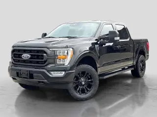 Ford F-150 2021 4x4 XLT 4dr SuperCrew 6.5 ft. SB