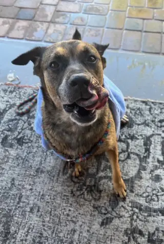Rosco