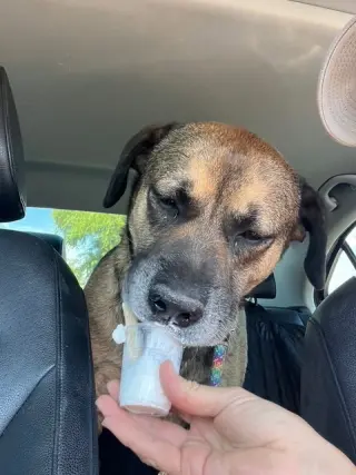 Rosco