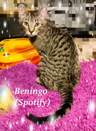 Beningo