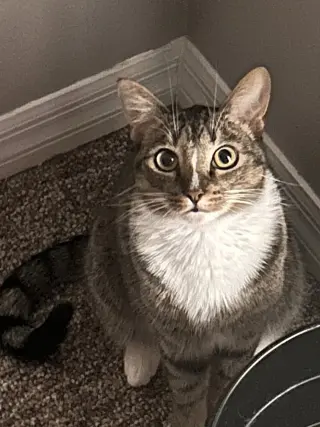 Sulu