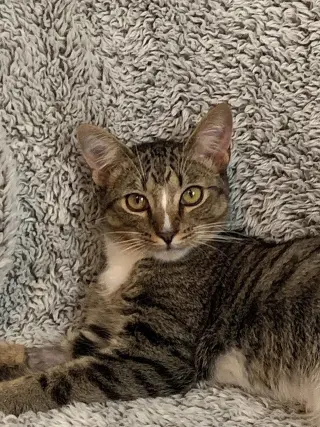 Sulu