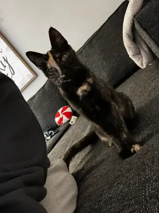 Mia