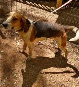 Iver: Not At the Shelter (Wendy)